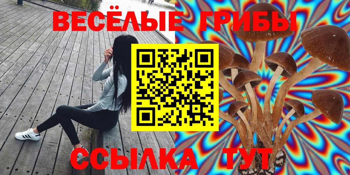 Костомукша  Псилоцибиновые грибы GOLDEN TEACHER  Вход с VPN 